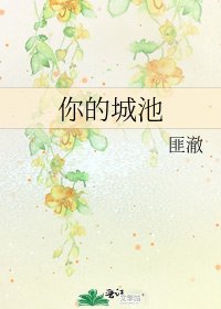 你的城池